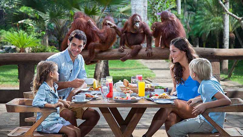 Wos River Tubing and Breakfast with Orangutans