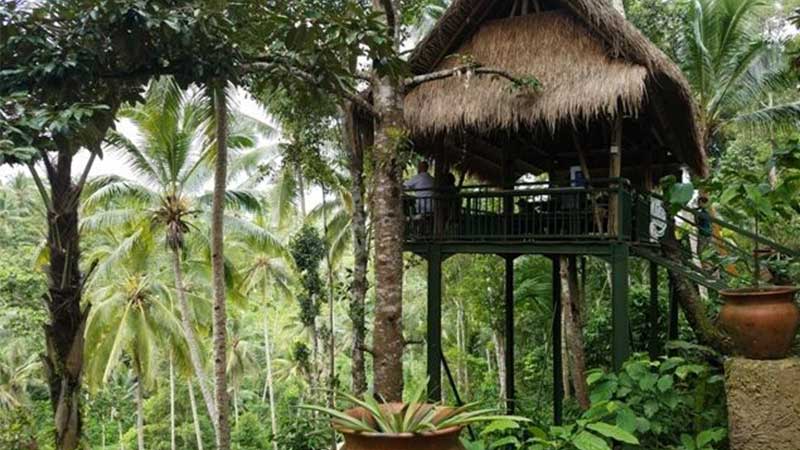 Wos River Tubing Adventure and Ubud Swing Tour