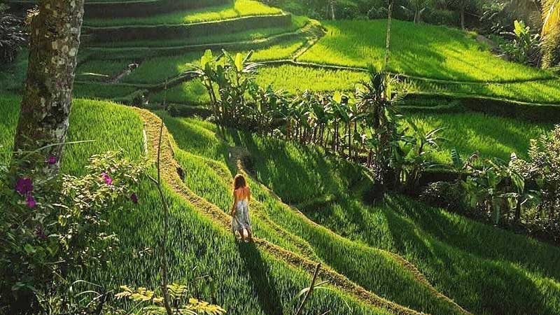 Bali River Tubing and Kintamani Volcano Tour